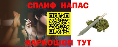 гашик Ливны