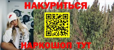гашик Ливны