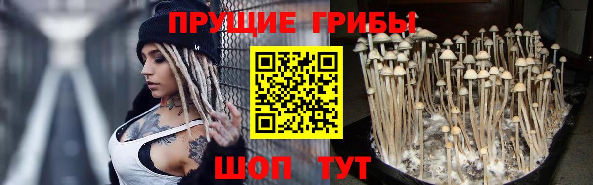 Ялта  Псилоцибиновые грибы Psilocybine cubensis  закладки  Вход с VPN 